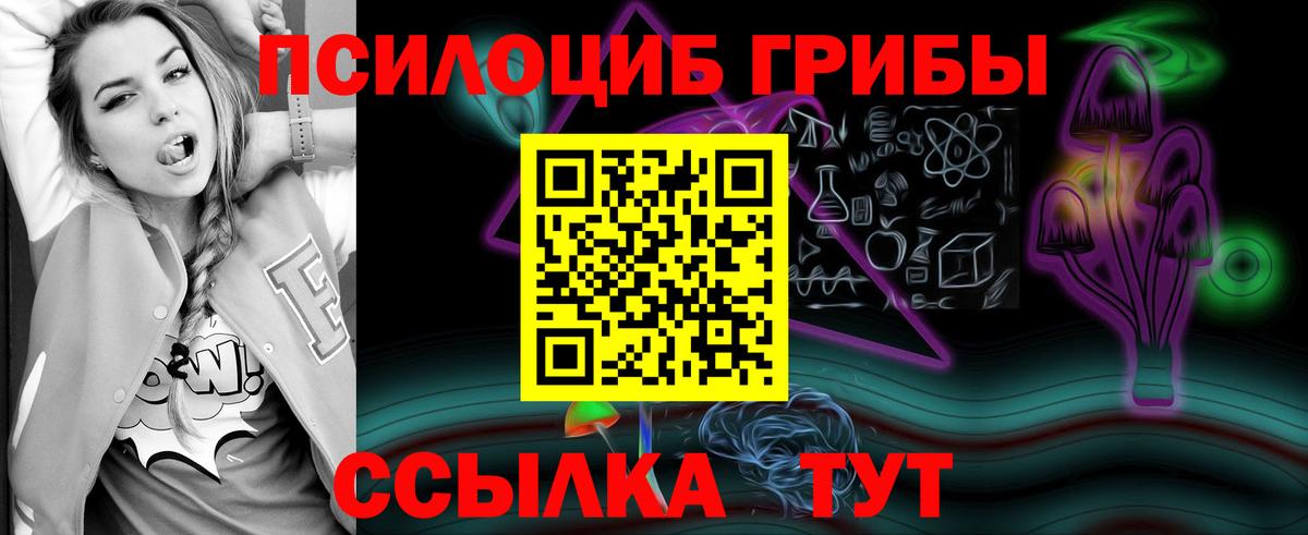 Галлюциногенные грибы MAGIC MUSHROOMS  Вход с VPN  Ижевск  Галлюциногенные грибы прущие грибы 